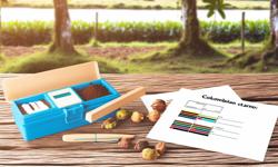 Featured image of post Análisis de suelo para cardamomo: parámetros clave y recomendaciones