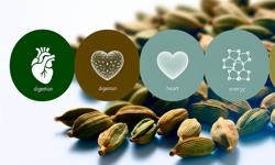 Featured image of post Beneficios del cardamomo: 12 propiedades comprobadas