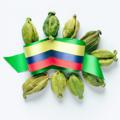 Cardamomo colombiano: sabor, calidad y oportunidad global
