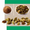 Cardamomo molido vs en vaina: ¿cuál usar y cuándo?