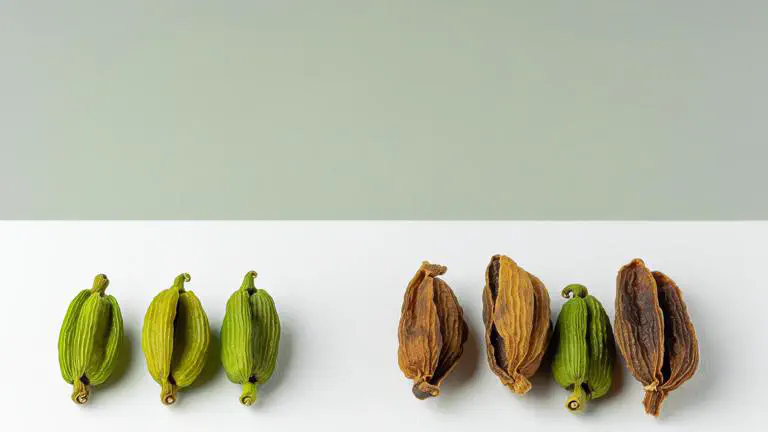 Featured image of post Cardamomo verde vs seco: diferencias, calidad y usos