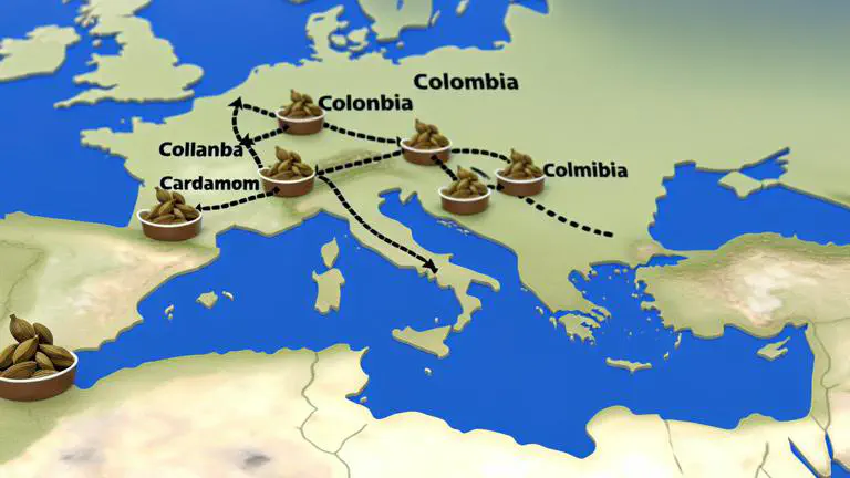 Featured image of post Cómo exportar cardamomo colombiano a Europa