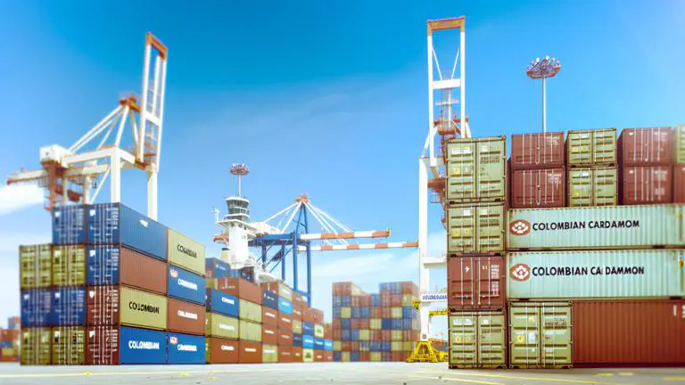 Featured image of post Cómo exportar cardamomo colombiano: requisitos y mercados