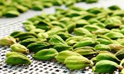 Featured image of post Cómo secar cardamomo verde sin perder el color