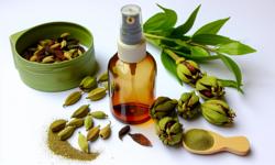 Featured image of post Cómo usar cardamomo como repelente natural