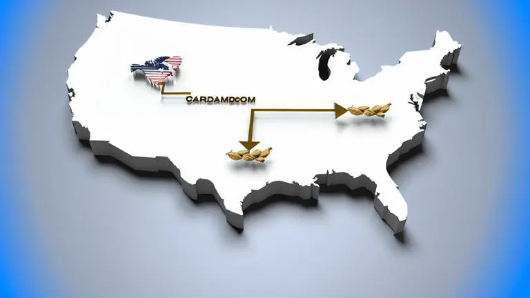 Featured image of post Demanda de cardamomo colombiano en Estados Unidos