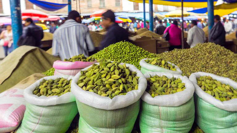 Featured image of post Dónde comprar cardamomo en Colombia: guía actualizada 2025