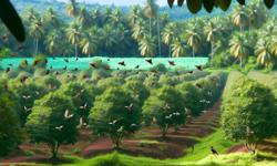 Featured image of post Impacto ambiental del cardamomo y cómo producir de manera responsable