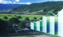 Featured image of post Impacto económico del cardamomo en Colombia