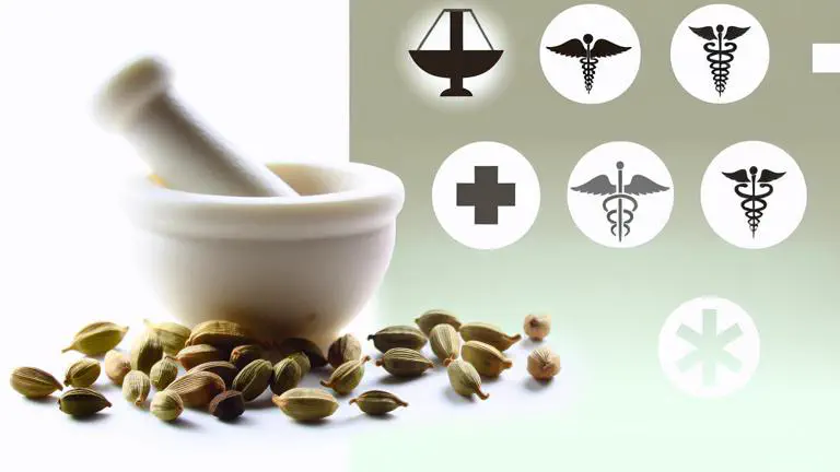 Featured image of post Usos medicinales del cardamomo según la ciencia