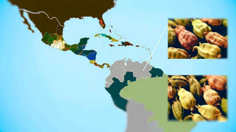 Featured image of post Variedades de cardamomo en el mundo y cuál se cultiva en Colombia