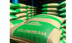 Featured image of post Venta de cardamomo al por mayor en Colombia: guía para compradores
