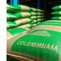 Venta de cardamomo al por mayor en Colombia: guía para compradores